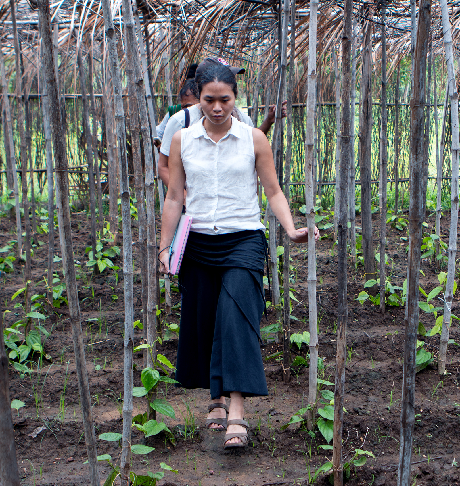 Elaine walks through betel farm